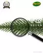 künstlicher edler Spritzguss Weihnachtsbaum Bolton 210cm Nadeln Detail