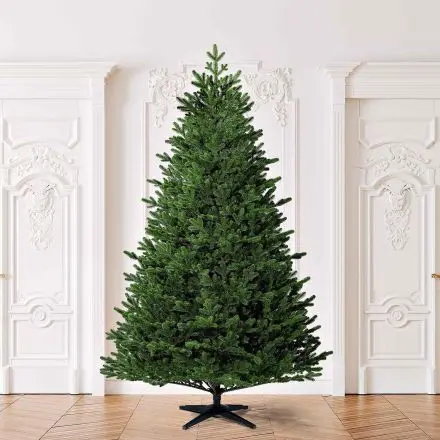 künstlicher Weihnachtsbaum Fraser-Tanne Edinburgh 210cm Spritzguss