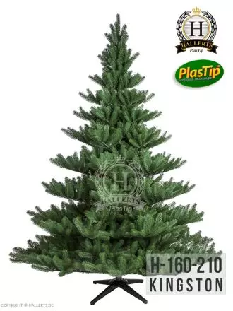 Spritzguss Weihnachtsbaum Nordmanntanne Kingston ca. 210cm 2. Wahl