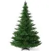 Hallerts Nordmanntanne Alnwick 240 cm