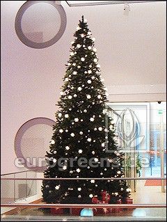 künstlicher Luvi Weihnachtsbaum Amberly 500cm