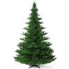 Hallerts Nordmanntanne Alnwick 240 cm