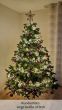 künstlicher Weihnachtsbaum 240cm Spritzguss Edeltanne Hamilton Kundenfoto mit Beleuchtung