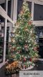 künstlicher Weihnachtsbaum 300cm Spritzguss Nordmanntanne Alnwick Kundenfoto