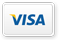 Zahlung mit Visa