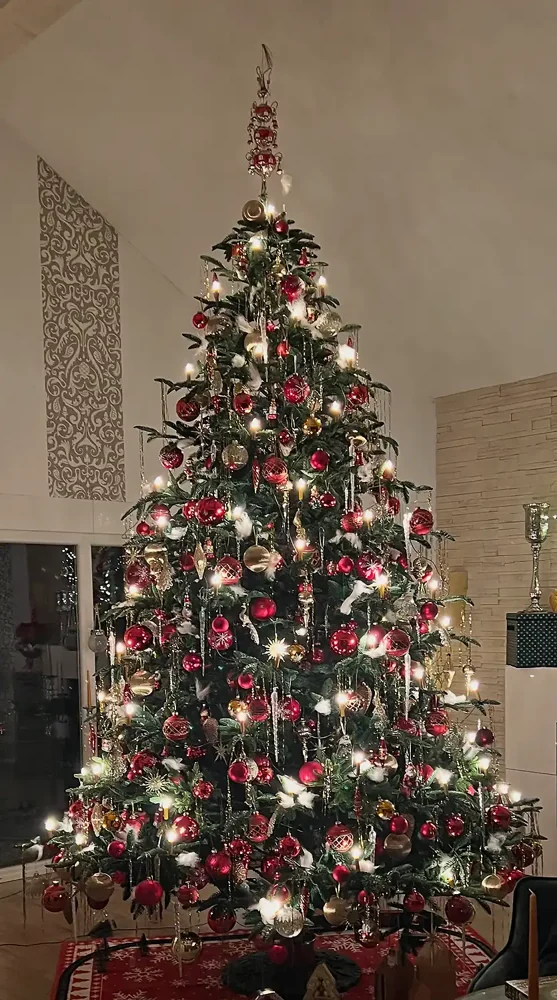 Fichte Windsor 180 cm – geschmückter Hallerts Weihnachtsbaum auf einem Kundenfoto