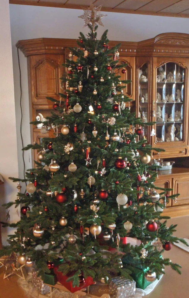 Edeltanne Hamilton 210 cm – geschmückter Hallerts Weihnachtsbaum auf einem Kundenfoto