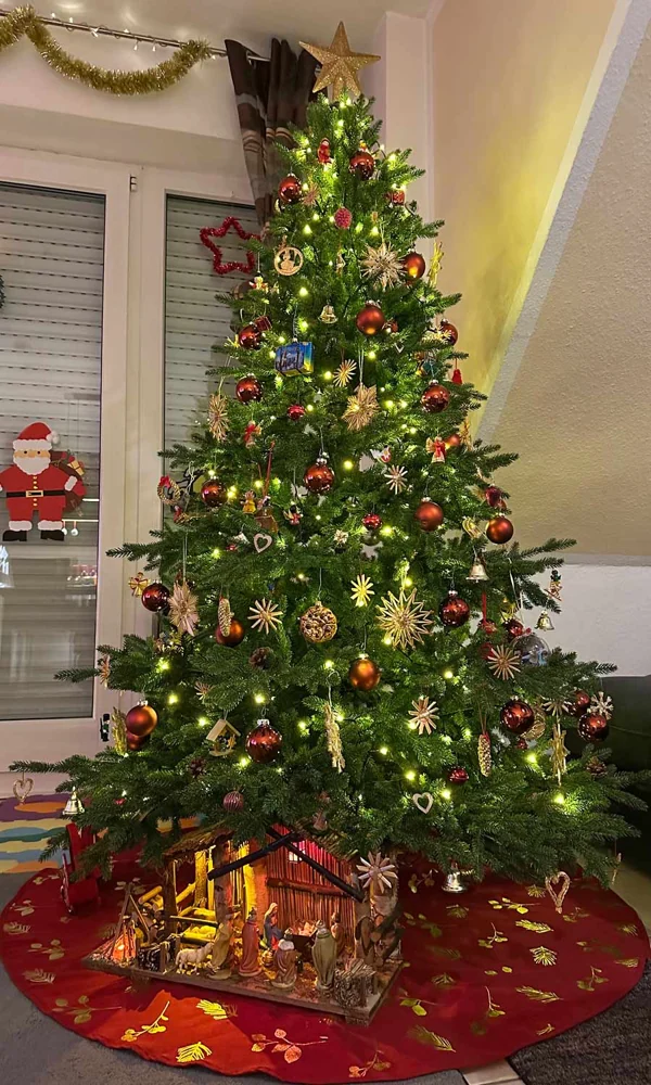 Nobilistanne Oxburgh 180 cm – geschmückter Hallerts Weihnachtsbaum auf einem Kundenfoto