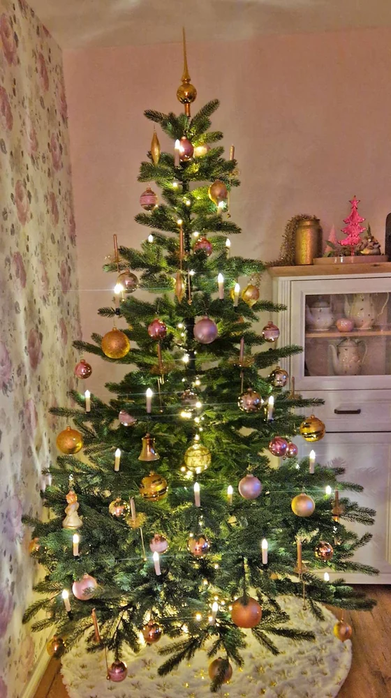 Nordmanntanne Alnwick 210 cm – geschmückter Hallerts Weihnachtsbaum auf einem Kundenfoto