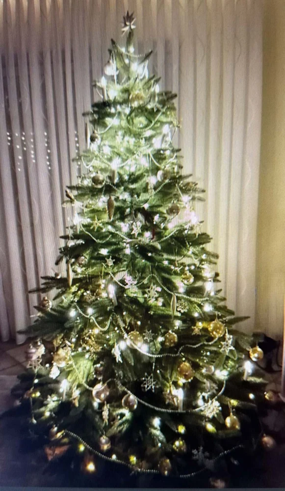 Nordmanntanne Bolton 210 cm – geschmückter Hallerts Weihnachtsbaum auf einem Kundenfoto
