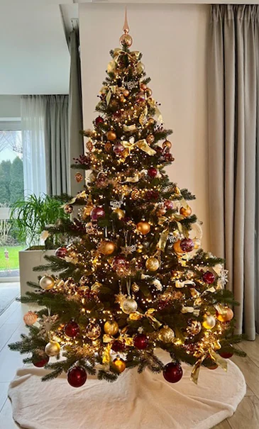 Nordmanntanne Alnwick 210 cm – geschmückter Hallerts Weihnachtsbaum auf einem Kundenfoto