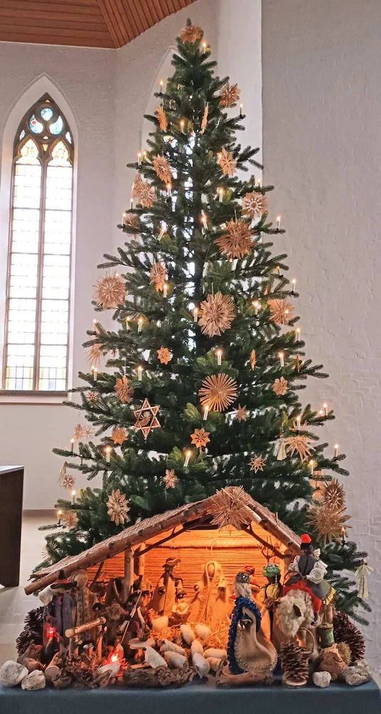 Nordmanntanne Alnwick 400 cm – geschmückter Hallerts Weihnachtsbaum auf einem Kundenfoto