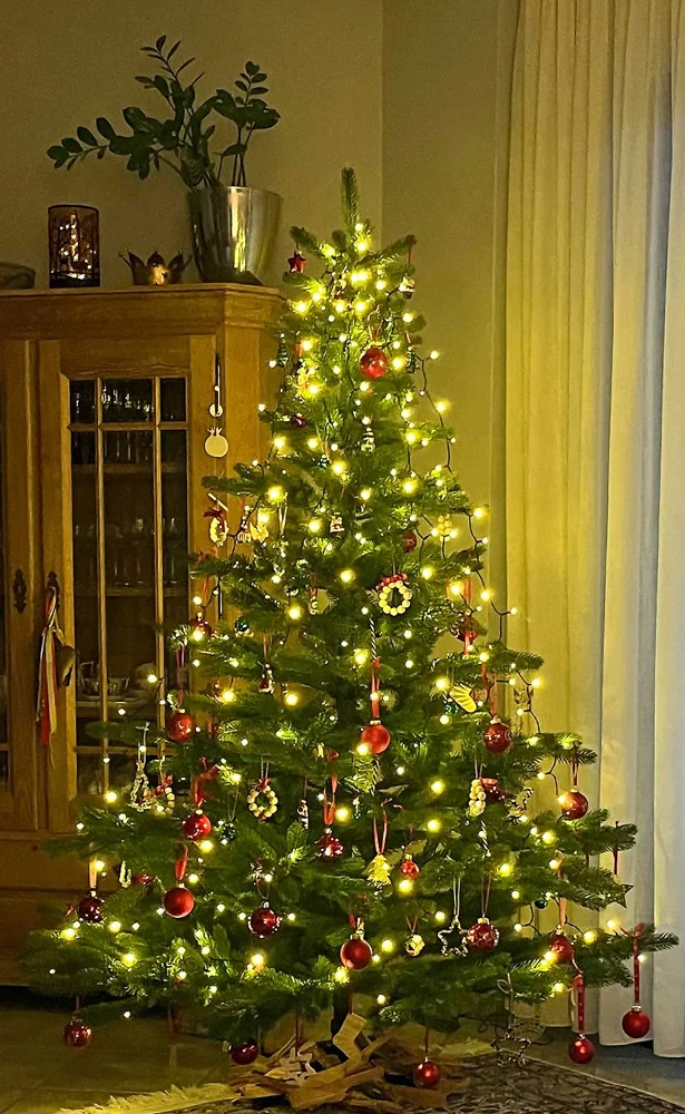 Nordmanntanne Alnwick 180 cm – geschmückter Hallerts Weihnachtsbaum auf einem Kundenfoto
