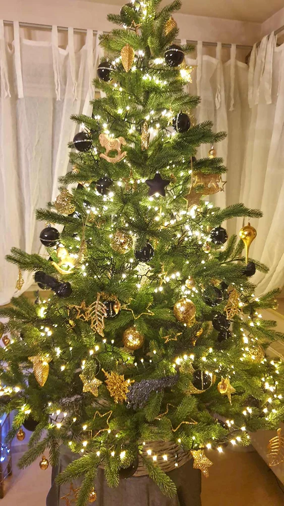 Nordmanntanne Alnwick 180 cm – geschmückter Hallerts Weihnachtsbaum auf einem Kundenfoto